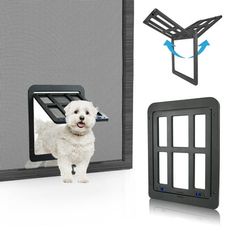 a small white dog standing in front of a screen door with an opening to it