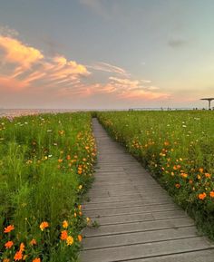 a wooden walkway leading to a grassy field with flowers