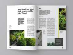 an open magazine with photos and text on the front page, featuring images of trees