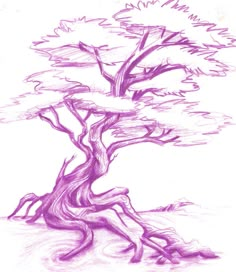 a drawing of a bonsai tree in purple ink