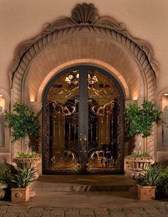 an ornate iron door with potted plants on either side and the entrance to it