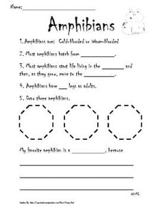 printable worksheet to help students learn how to make an amphibians