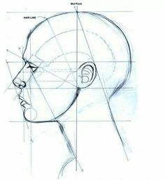 an image of a person's head with lines drawn on the face and shoulders