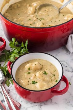 a red pot filled with soup next to a white bowl full of chicken and dumplings