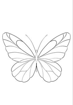 the outline of a butterfly's wings is shown in black and white, with one wing