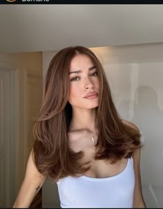 Short Shoulder Length Hair, Brown Hair Shades, Brown Hair Dye, Classic Girl, Layered Haircut, Haircuts For Medium Hair, Haircuts Straight Hair, Haircut For Thick Hair, Hair Stylist Life