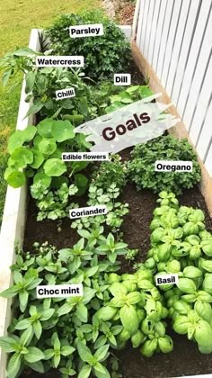 a garden filled with lots of different types of plants and vegetables that are labeled in the word goals