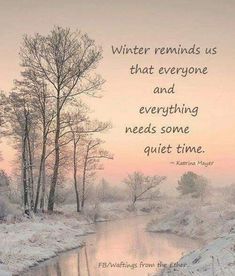 winter reminds us that everyone and everything needs some quiet time