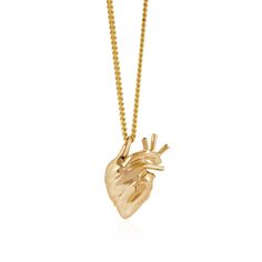 Rock and Roll meets refined craftsmanship in Strange Fruit's signature Anatomical Heart, scaled down in this more delicate edition. Hand carved and cast in solid 9k gold, and suspended on a 55cm 9k chain. Strong chemicals and perfumes should be avoided wherever possible as with all jewellery. Storing carefully will also prevent the metal from becoming dented and scratched over time. Heart Shaped Yellow Gold Brass Necklace, Yellow Gold Heart-shaped Brass Necklace, Heart-shaped Yellow Gold Brass Necklace, Engraved Yellow Gold Plated Heart Necklace, 14k Gold Polished Heart Pendant Necklace, 14k Gold Pendant Heart Necklace With Polished Finish, Yellow Gold Brass Necklace With Heart Charm, Yellow Gold Recycled Gold Heart Pendant Jewelry, Engraved 14k Yellow Gold Heart Necklace