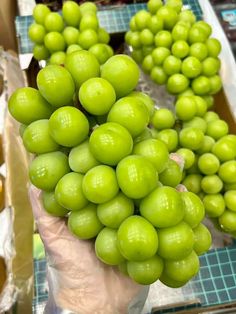 a bunch of green grapes are on display in a store, with other fruits behind them