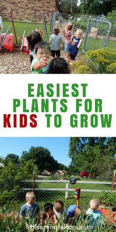 kids are playing in the garden with text overlay that reads easyest plants for kids to grow