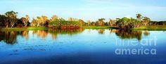 a lake surrounded by trees and grass with blue sky in the backgrounnd