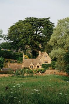 an old house in the middle of a field with trees around it and grass on the ground