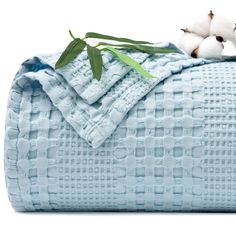 two cottons sitting on top of a blue blanket with green stems sticking out of it