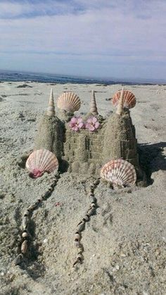 sand castle made out of shells on the beach