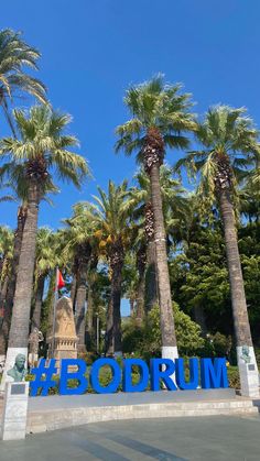 palm trees are in front of a sign that says bodrrum on the side