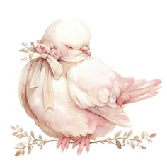 a watercolor painting of a pink bird with a bow on its head sitting on a branch