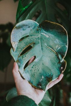 a person holding up a green leaf shaped plate in front of a plant with leaves on it