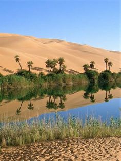 a body of water surrounded by sand dunes and palm trees