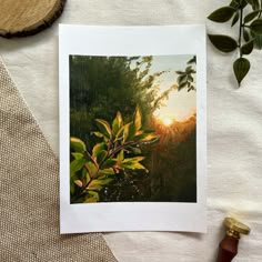 an image of the sun setting behind some leaves on a table with a pen and paper