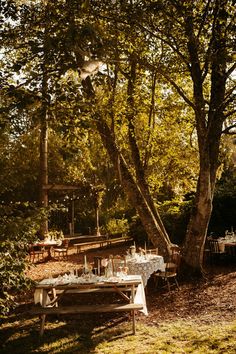 an outdoor table set up in the woods