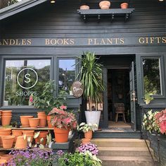 a store front with lots of potted plants on the outside and windows that say candles, books, plants, gifts