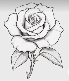 a drawing of a rose on a white background