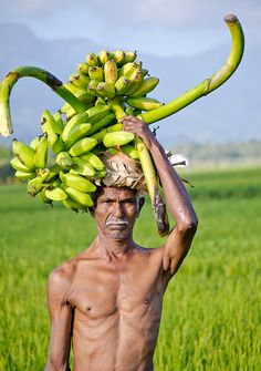 a man carrying bananas on his head in the middle of a green field with mountains in the background