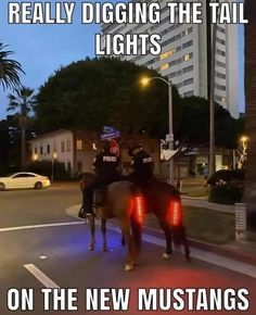 two police officers riding horses down the street at night with text reading really digging the tail lights on the new mustangs