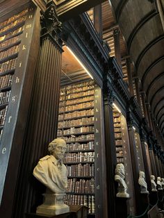 Dublin, Ireland, trinity college Library Of Trinity College Dublin, Trinity Dublin Aesthetic, College In Ireland, Ucd Dublin Aesthetic