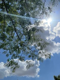 the sun shines through the leaves of a tree in front of some blue sky