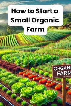 an organic farm with the words how to start a small organic farm on it's side