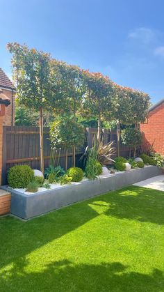 an outdoor garden with grass and trees