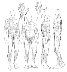 three different views of the human body, each with their own hand and foot positions