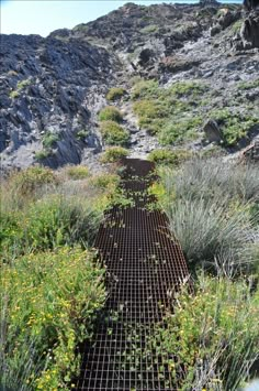 a metal grate in the middle of some plants and bushes on a mountain side