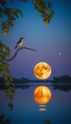 a bird is sitting on a tree branch in front of the moon and water at night