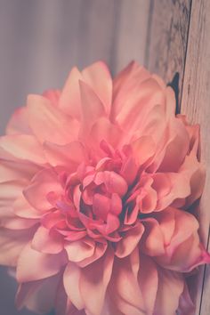 a large pink flower sitting on top of a wooden wall