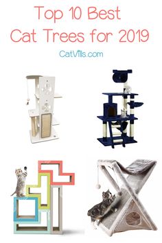 the top 10 best cat trees for 2019 with pictures of cats in their houses and furniture