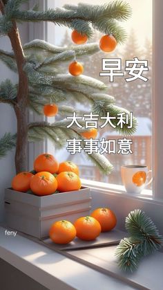 there are many oranges in the box on the window sill with pine branches