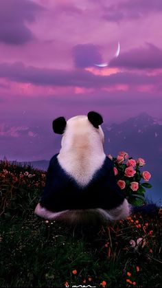 a panda bear sitting on top of a lush green field under a purple cloudy sky