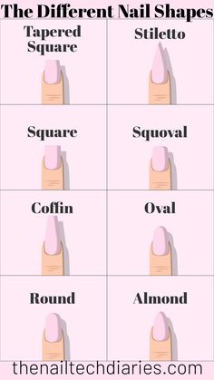 List and detailed description of the most popular and trendy nail shapes that you can get done today look and see what you like and go and show your nail tech. Trendy Nail Shapes, Nail Technician Room, Nail Shape Chart, Beginner Nail Designs, Nail Courses