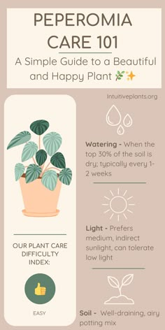 an info sheet describing how to care for houseplants