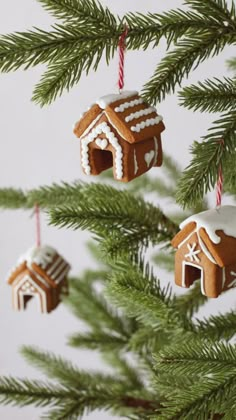 gingerbread house ornaments hanging from a christmas tree