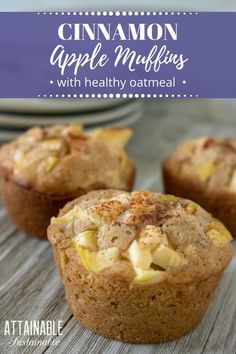 cinnamon apple muffins with healthy oatmeal are the perfect breakfast or snack