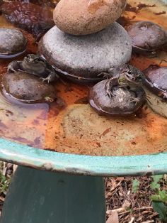 rocks stacked on top of each other in a pot filled with water and dirt,