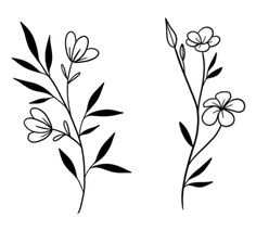 two black and white drawings of flowers on a white background, one with green leaves