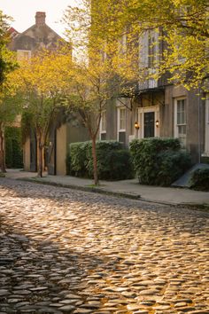 a cobblestone street with trees and buildings in the background