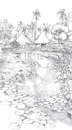 a drawing of a lake with lily pads in the foreground and houses on the other side