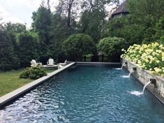 an outdoor swimming pool surrounded by lush green trees and shrubbery with yellow flowers in the foreground