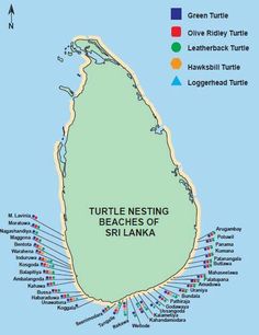 the turtle nesting beaches of sri lanka are marked in blue, green, yellow and red